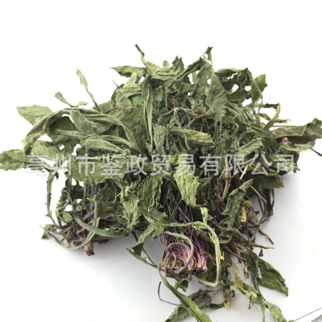 Dried Dandelion Herb Pu Gong Ying Whole Plant Sun Dried Traditional Herbal Tea Ingredient 500g key features