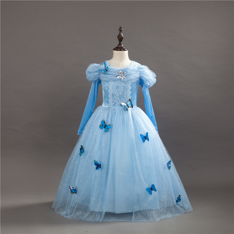 Cinderella Dress Close-up