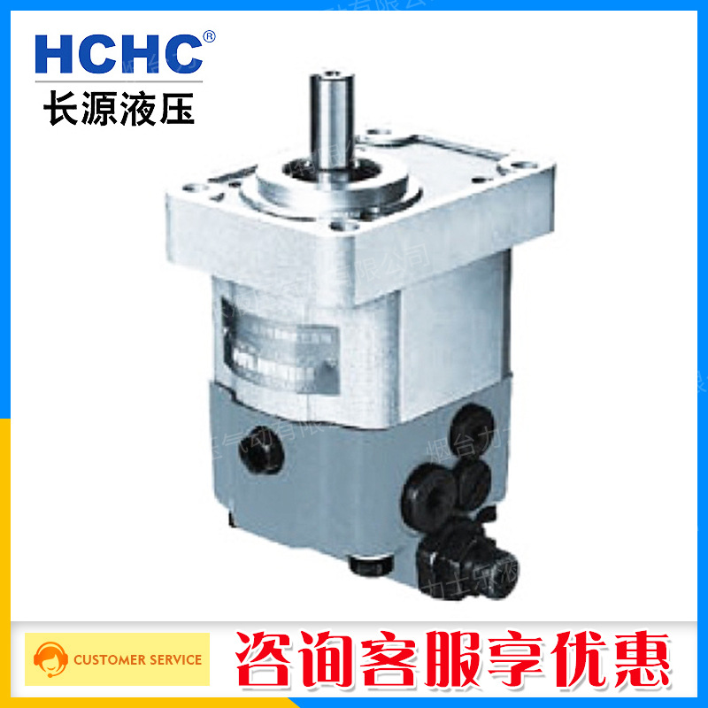 正品原装合肥长源复合双向齿轮油泵CBWS/CBWS-D308齿轮泵一件代发