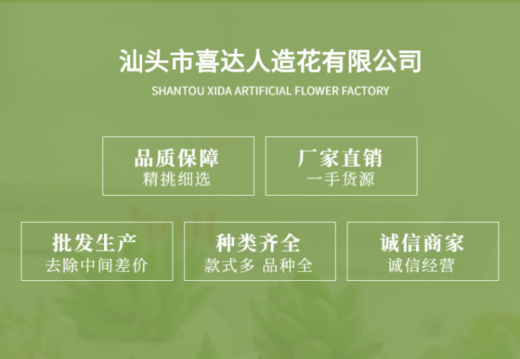 绿植花卉-盆栽-植物-多肉-详情页-2