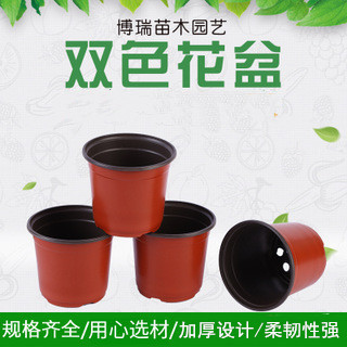 双色多肉花盆 绿植园艺用品软吸塑料pp简易育苗盆塑料双色小花盆