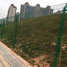 �Ž�С�^�����o�� �ϲ��ȼٴ���ھW �M���F�z�W �S�����l