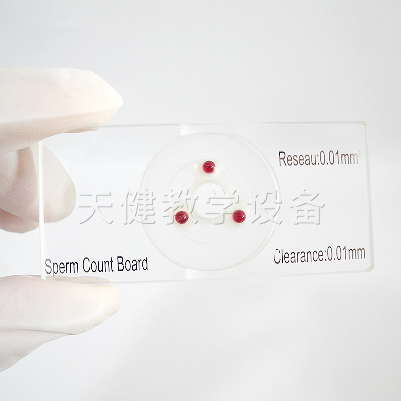 精子计数板（带钢圈）网格 (6)_副本