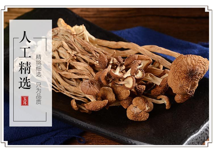 玉耳內(nèi)頁(yè)1.1_10