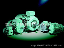 ԭװ���������ӵ��1LG6186-6AA60-Z/1LG6186-6AA61-Z  15KW  6��