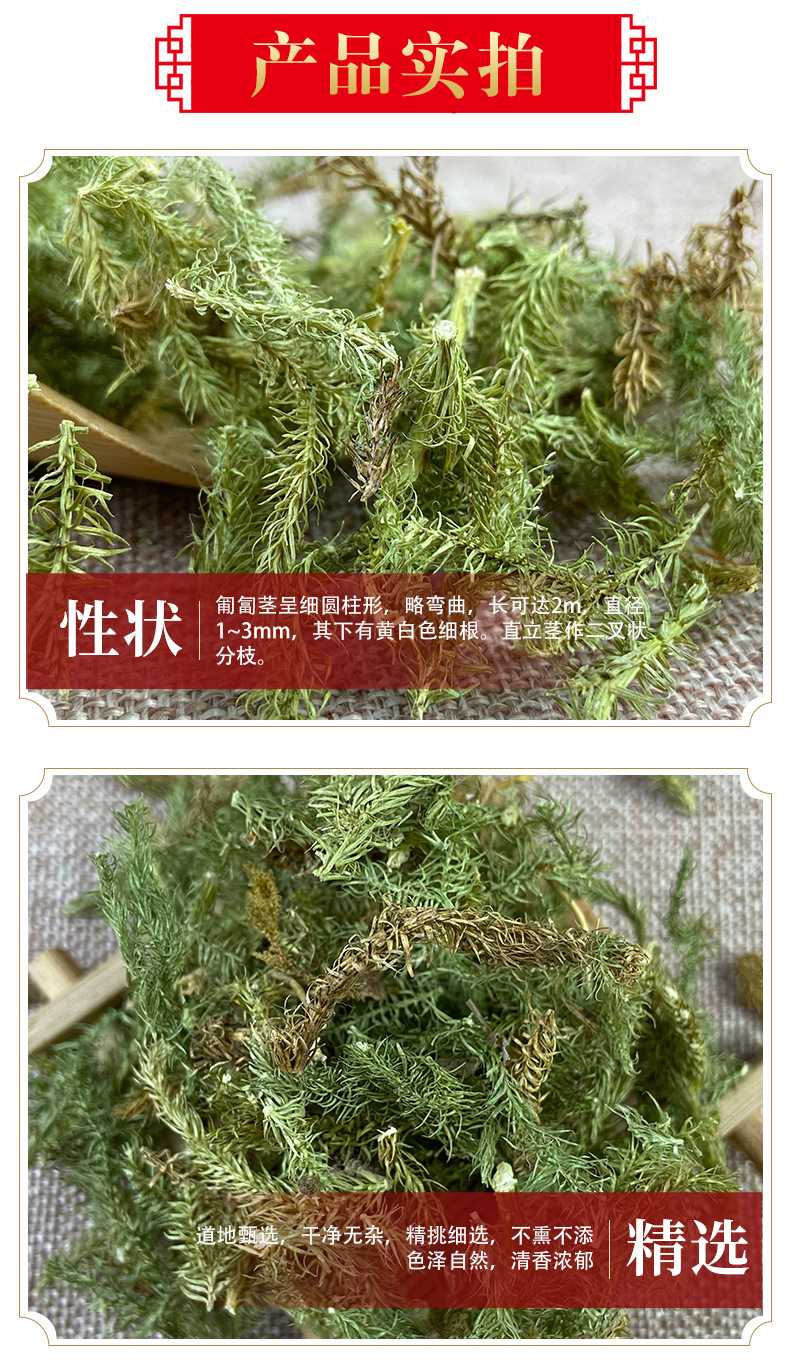 Shen Jin Cao (Lycopodium clavatum) — Dried Food Herb for Decoction & Soup specifications