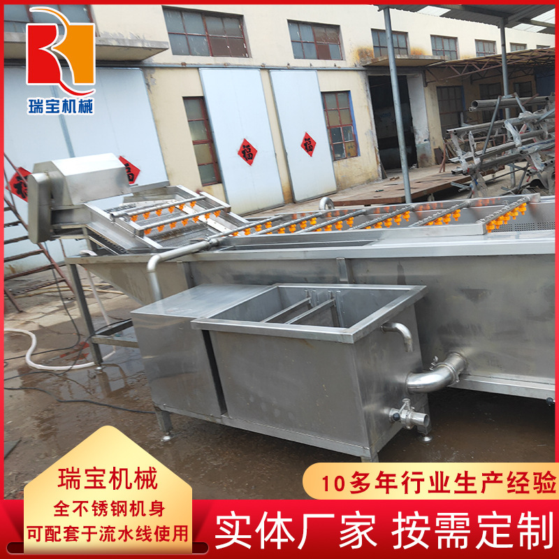 厂家直供冬笋竹笋清洗机 蔬菜水果气泡清洗机 笋类清洗加工流水线