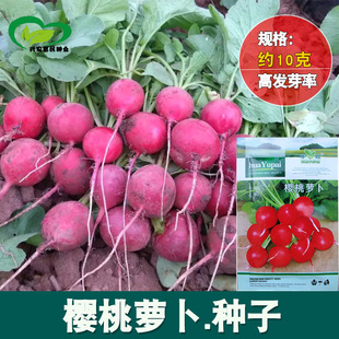 }N rˈ@Ƥ|ā֭Сt}߲˷N