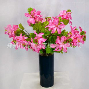 �������G���t������׷��滨�ҾӔ[���͏d�ٻ��b� ��c�ٻ����l