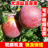 Apple Sichuan Province Daliangshan Yanyuan Rock sugar Red Fuji fresh pregnant woman fruit Full container