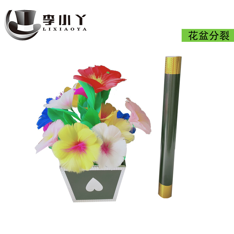 Pot flowers split empty potted flowers magic rods become flowers