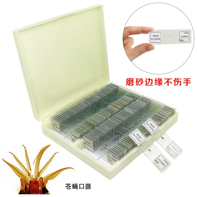 Набор образцов биологического микроскопа для нарезки животных растительных клеток стеклянные стекла эксперимент для детей студентов