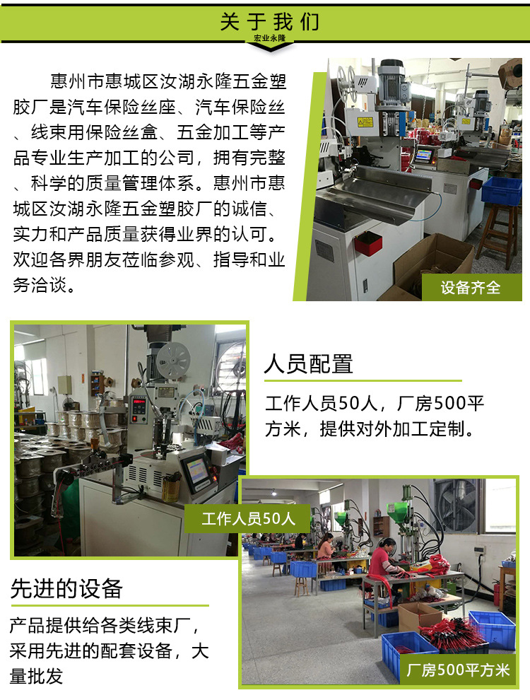 永隆保险丝产品详情_06