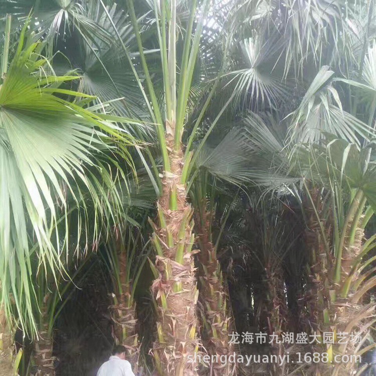 IMG_5638(20200228-235858)