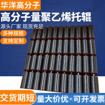 Ultra-high molecular weight polyethylene Roller Macromolecule Roller Macromolecule Polyethylene Roller UPE Roller