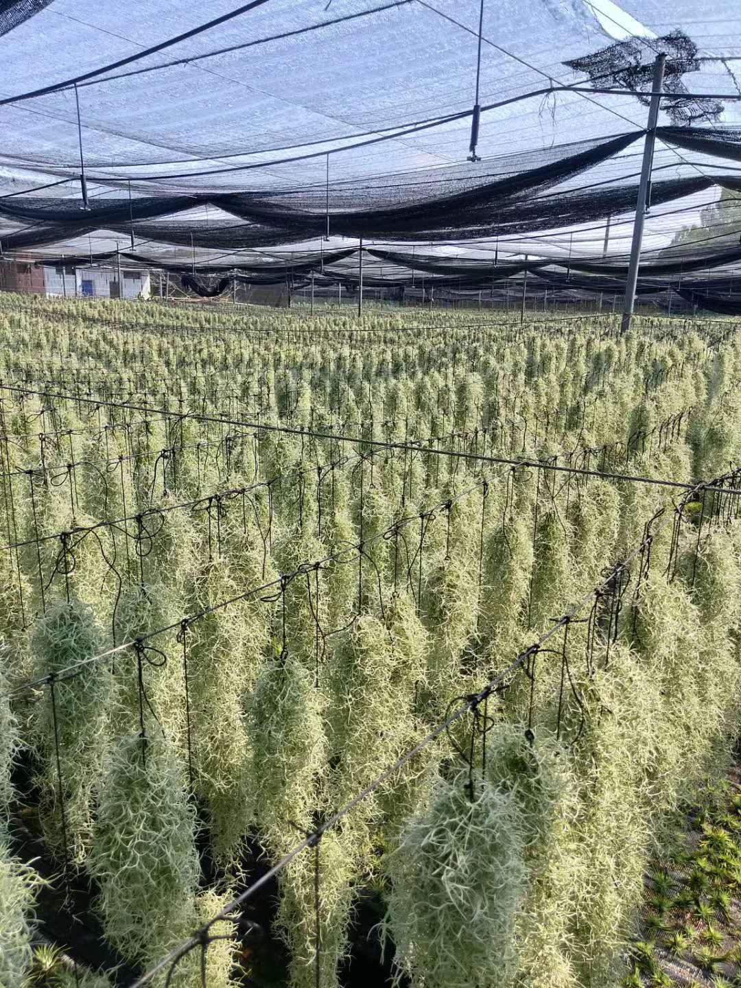 IMG_9270(20200228-224505)