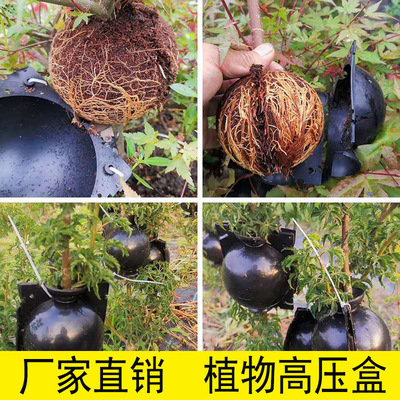 植物高壓盒樹苗高壓生根器高壓繁殖盒高壓繁殖器廠家直供量大優惠