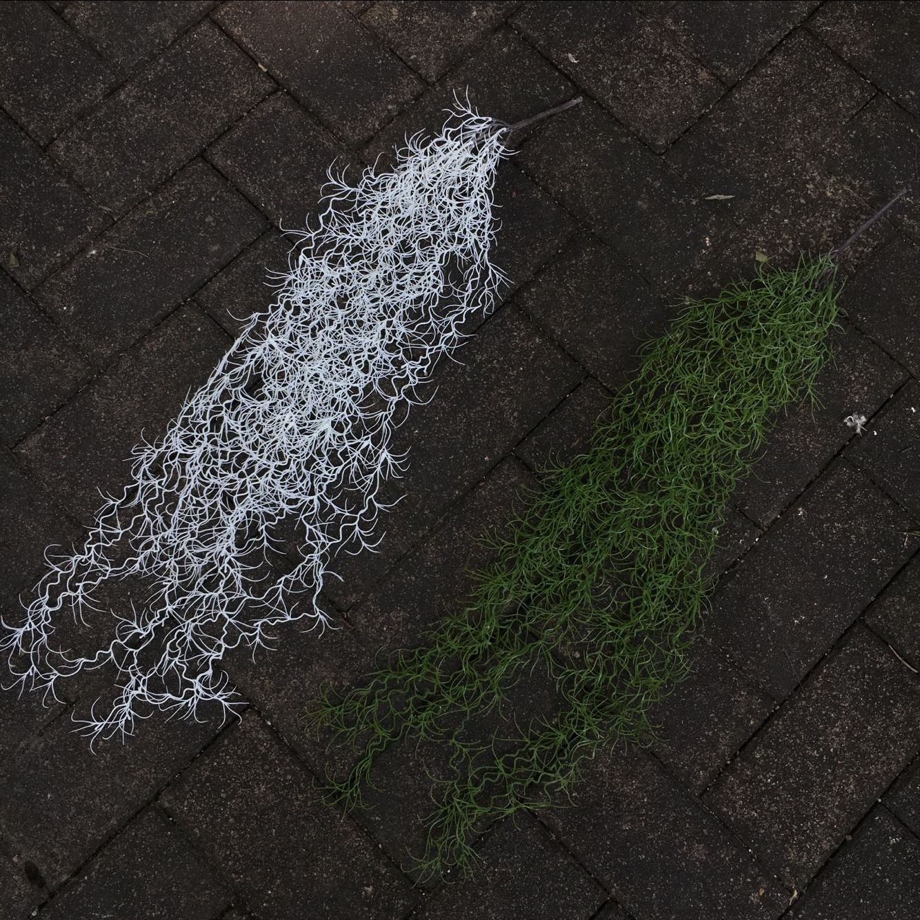 D83F6EBAFD67CFD8F485C4F0F96938