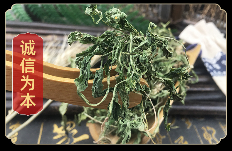 Dried Viola Herb Zi Hua Di Ding Cut Whole Herb Traditional Herbal Tea and Decoction Ingredient 1 Jin 500g in use