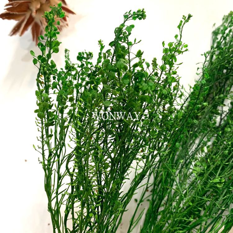 微信图片_20200224124828_副本