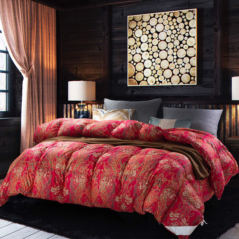 winter keep warm duvet with down for home use