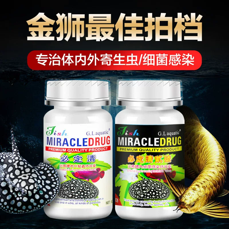 Золотой Лев Новый BIDING Рыба-Дракон Цин Маленькая рыба Луохан Декоративная рыба BIDING Qing No.1 BIDING Qing No.2 Агент для кормления