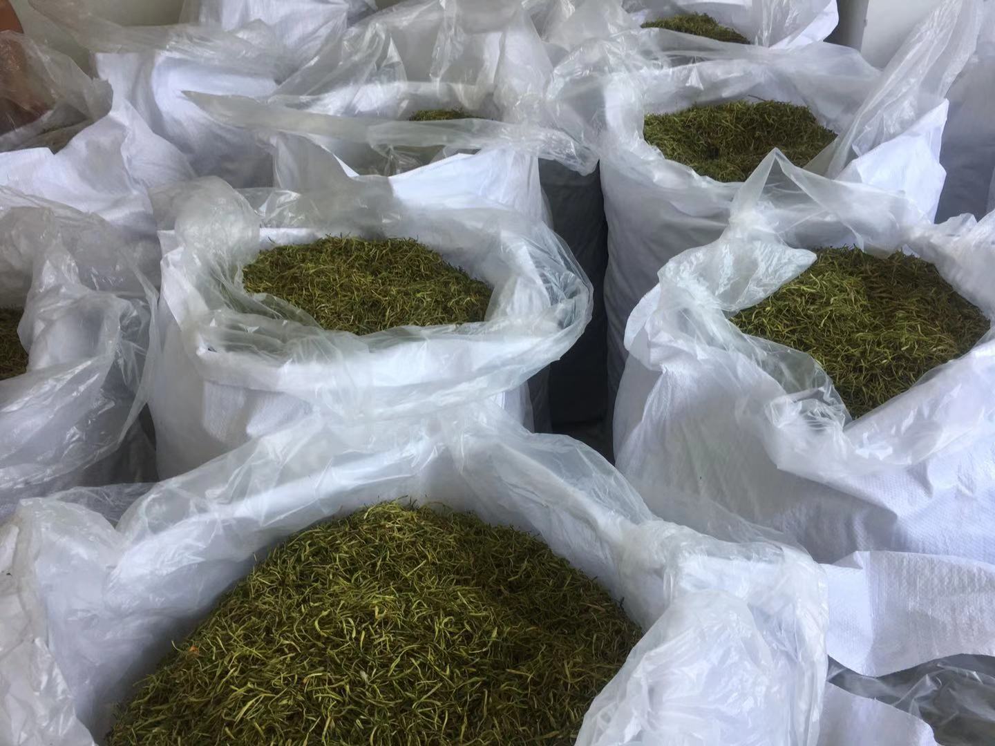 Honeysuckle Flower Tea Jin Yin Hua Dried Buds 500g Natural Sun Dried Herbal Tea for Brewing quality and texture