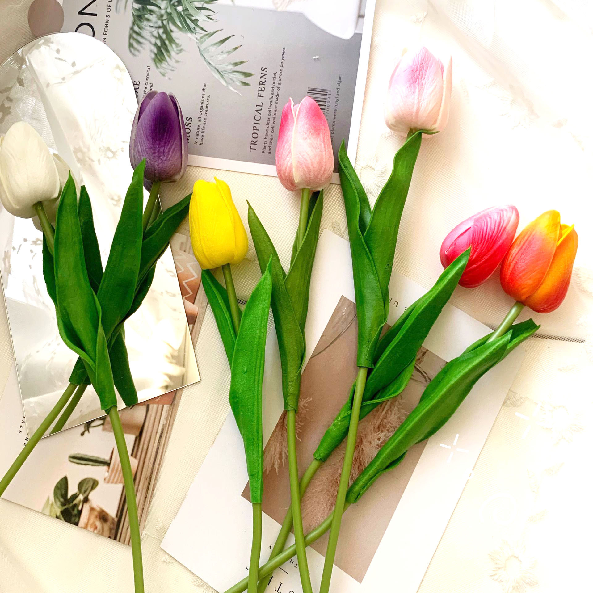 QQ图片20200524130510