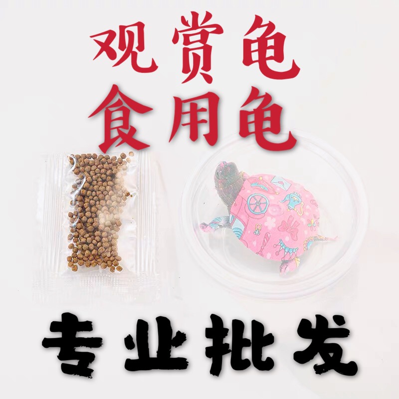 微信图片_20200425193636