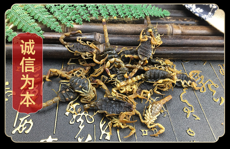 Dried Whole Scorpion Quan Xie 全蝎 Whole Body 100g Culinary and Tonic Herb in use