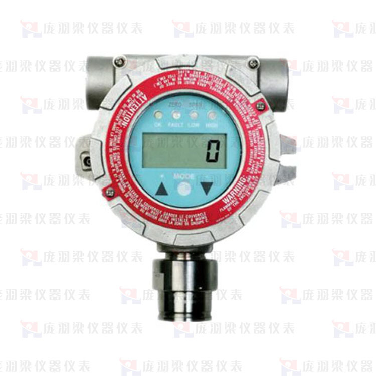 美国华瑞 RAE RAEGuardS LEL 可燃气体检测仪 FGM-1100S