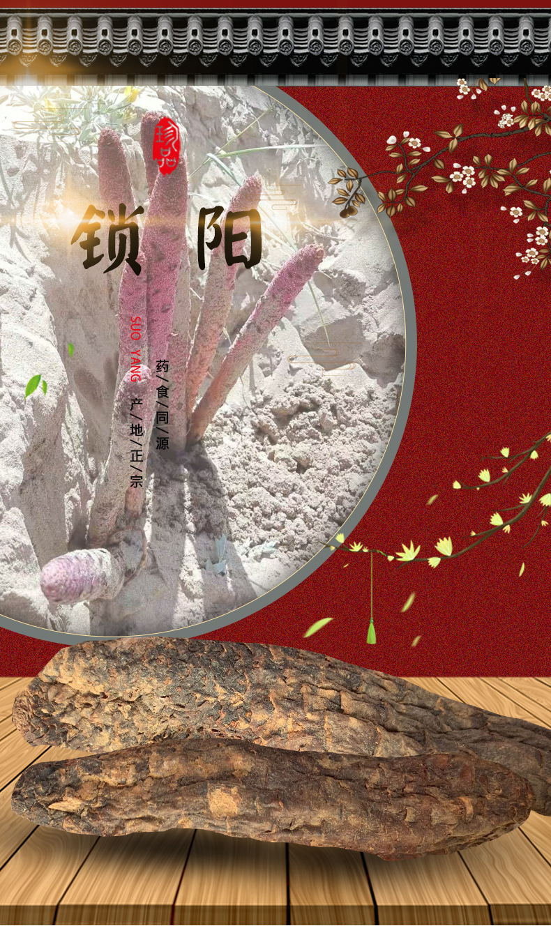 Cynomorium Songaricum Sliced Suo Yang Dried Herb for Herbal Wine and Decoctions 500g overview