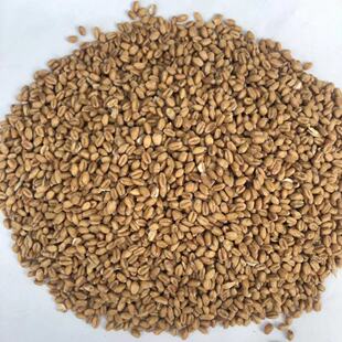 �S��ֱ�NС�� ������С�� С����Ƥ ���������ԭ�� ��ᘷ۰��~��