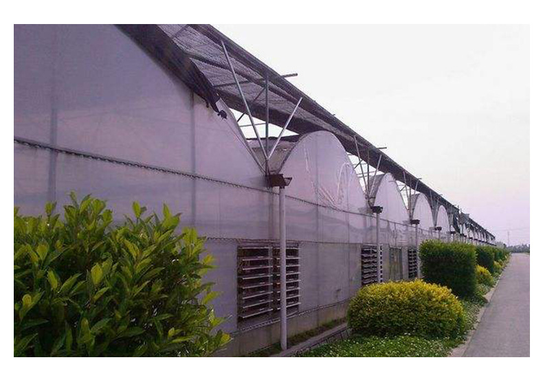 详情页-连体温室大棚_05