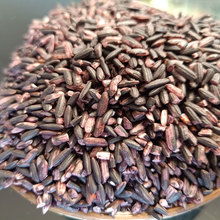 雲南墨江紫米優質新米正宗老品種農家自種紫糯米粗糧煮粥蒸飯500g