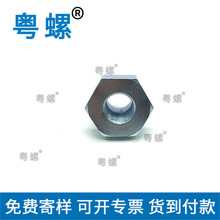 ֱIǿݽz пݽz ߴݽz P䓷ǘ˼