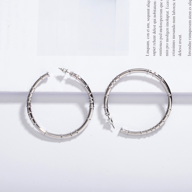 New Trendy Fashion Exaggerated Circle Earrings display picture 3