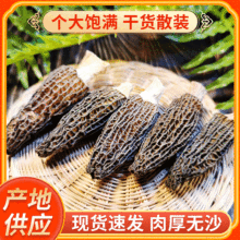 剪柄羊肚菌干货2斤 云南高原特产农产品 大货批发南北干货 汤料包