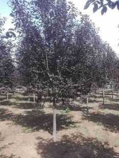 �����~�������2��10�������~����G��Ǥ����Ʒ�N�R���^����С��