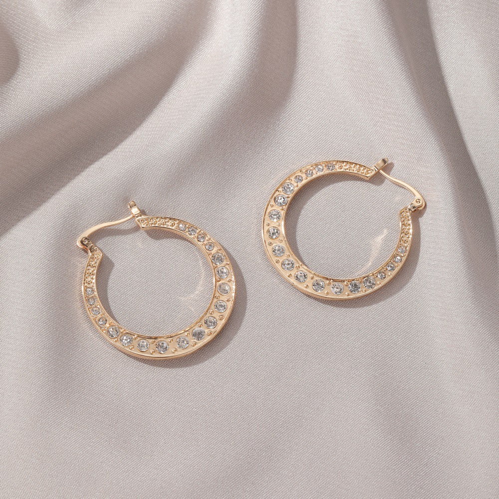 Fashion Style Simple Earrings Classical Exaggerated Hollow Large Circle Earrings Ear Buckle Explosion Accessories Wholesale Nihaojewelry display picture 5