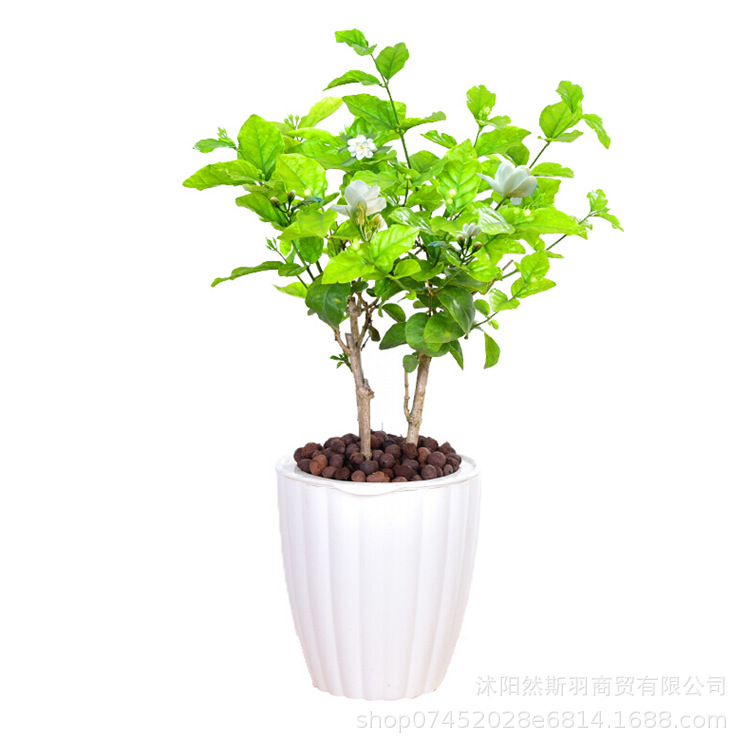 QQ图片20200802183424