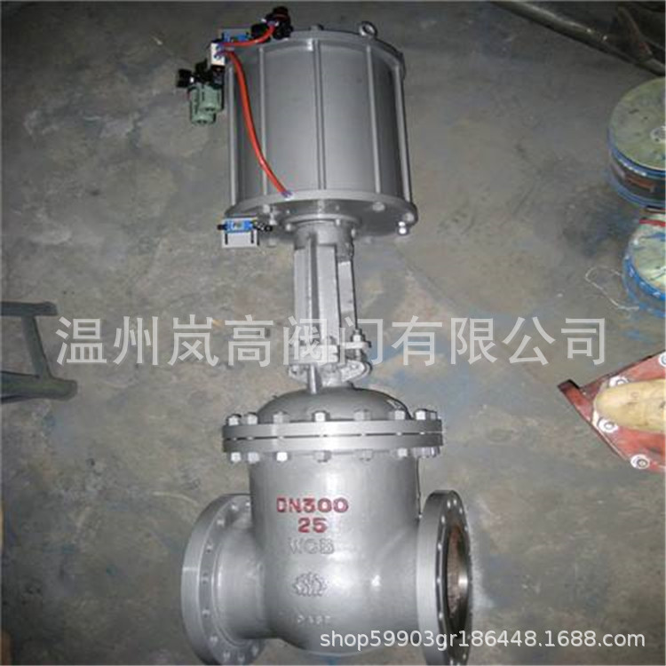 现货供应 Z641F-16C 铸钢材质 法兰连接 可按需定制 DN50