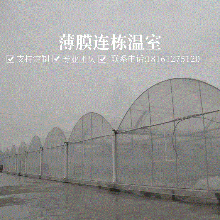 薄膜连栋温室大棚pep利得膜内外遮阳风机内循环 塑料薄膜大棚安装