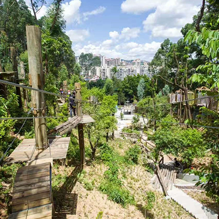 Лесные приключения Приключения в джунглях Приключение на дереве Приключение на дереве