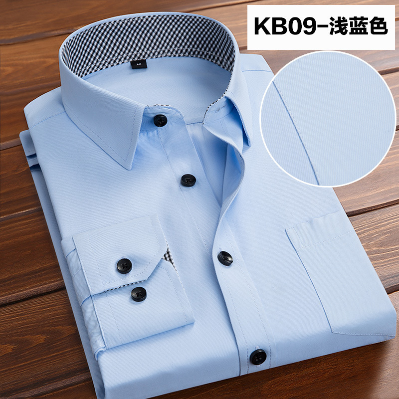 Light blue checkered collar