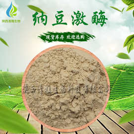 纳豆激酶 20000FU/G 活性 纳豆粉 现货 纳豆 激酶粉 100克试样装