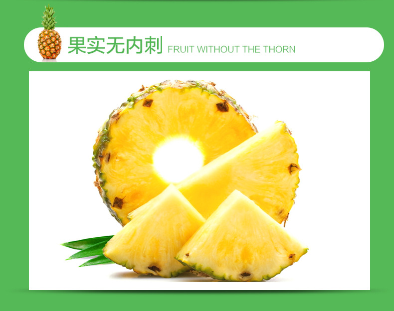 凤梨_11.jpg