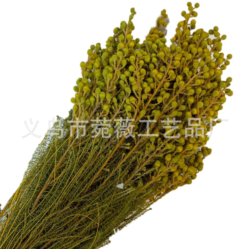 微信图片_20200323224627