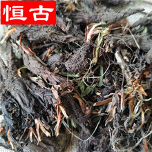 批发中药材甘松 香草 正品 量大价优