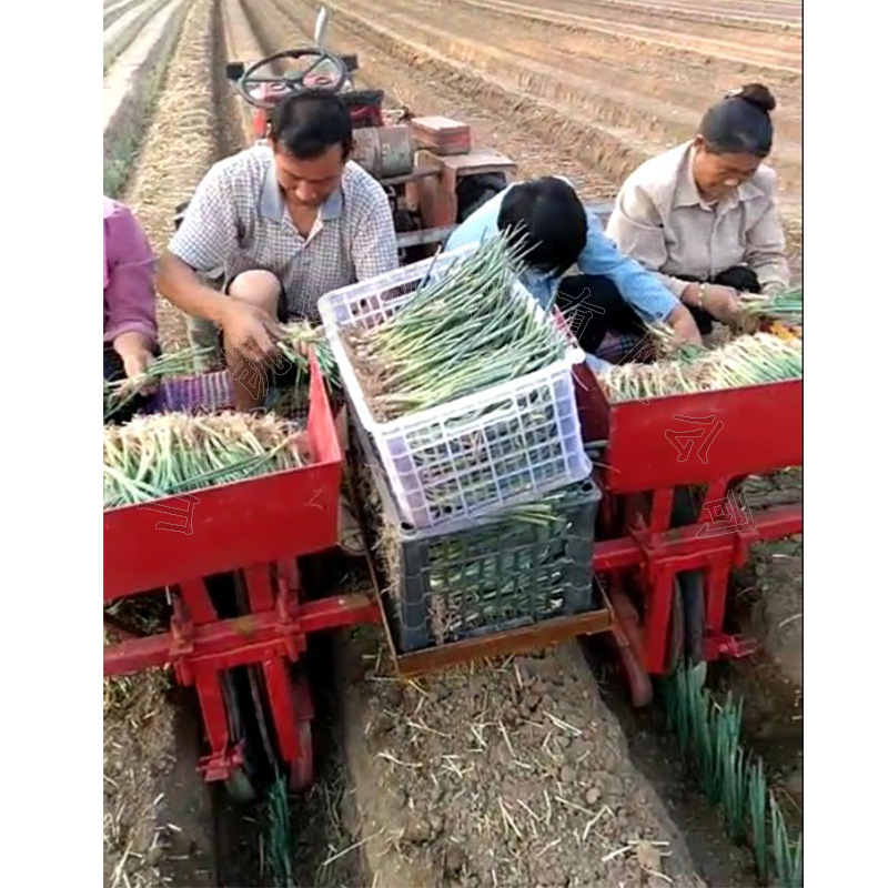 15马力拖拉机后置种葱机 大葱种植机 双行移栽机自走式大葱栽葱机